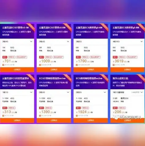 深度解析，阿里云主机与服务器之优劣势对比及选购指南，阿里云主机和云服务器有什么区别