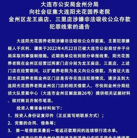 揭秘大连顶级SEO策略，助力企业快速崛起的奥秘，大连顶级的养老院排名