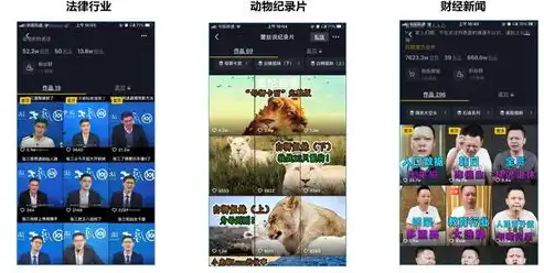 SEO实战攻略，从入门到精通，教你如何高效优化网站，自己怎么做瑟瑟