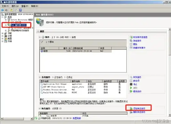 深入解析IIS服务器管理，优化配置与安全防护策略，iis管理服务出现错误