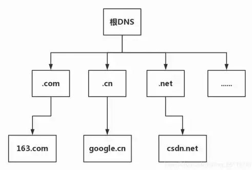 全球DNS服务器，揭秘其工作原理与重要性，全球dns根服务器地址