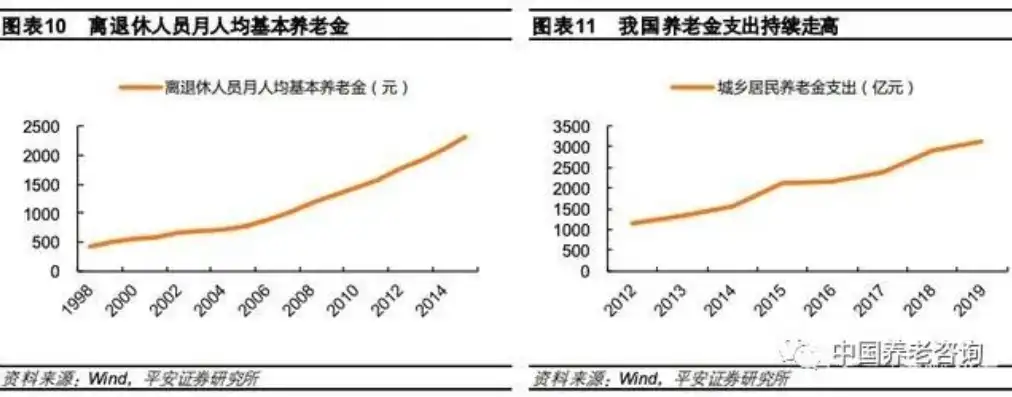 养老行业的多元归属与未来展望，养老属于什么领域