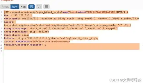 深入剖析SQL注入漏洞，揭秘网站源码中的安全隐患及防护措施，sql注入网站源码怎么用