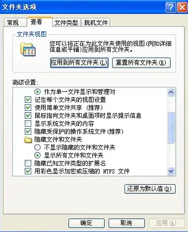 高效找回失踪的另存为文件，全方位攻略助你一臂之力，另存为的文件找不到了要去哪里找股票