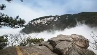 庐山网站建设，打造自然风光与人文历史相结合的旅游门户，庐山网站建设招标公告