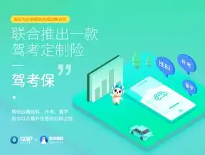 深圳定制网站，打造专属品牌形象，助力企业腾飞，深圳定制网站建设运营