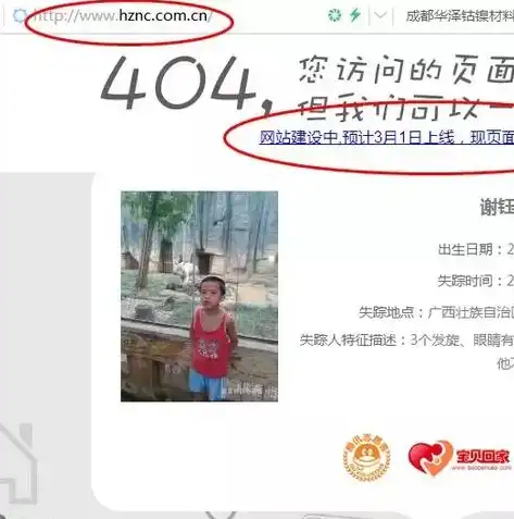 网页服务器到期，解析问题根源及解决方案，网页服务器到期怎么续费