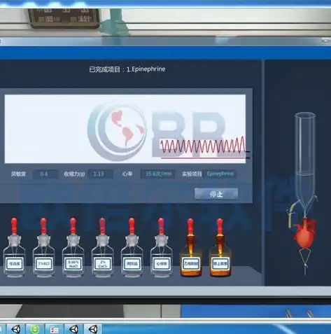 打造个性化小程序网站，轻松实现线上商业新纪元，小程序网站制作需要准备什么资料