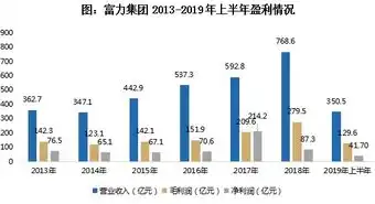 深耕本地市场，助力企业腾飞——聊城专业SEO优化公司深度解析，聊城网站优化公司