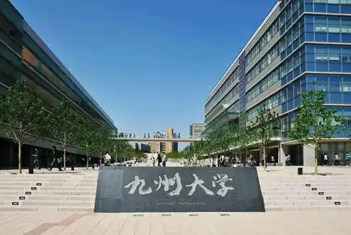 探秘校园魅力，感受学术气息——XX大学官方网站全新升级，学校网站首页源码怎么用