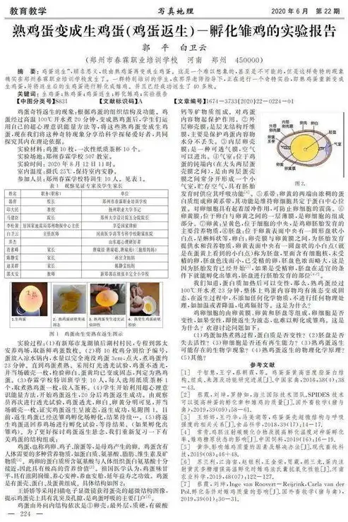 探秘校园魅力，感受学术气息——XX大学官方网站全新升级，学校网站首页源码怎么用