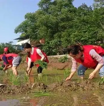 宣城网站设计，打造个性化品牌形象，助力企业迈向新高度，宣城网站设计师招聘