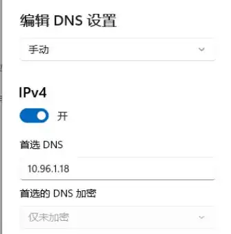 深入解析DNS服务器A记录添加，步骤详解与实际应用，配置dns添加服务器