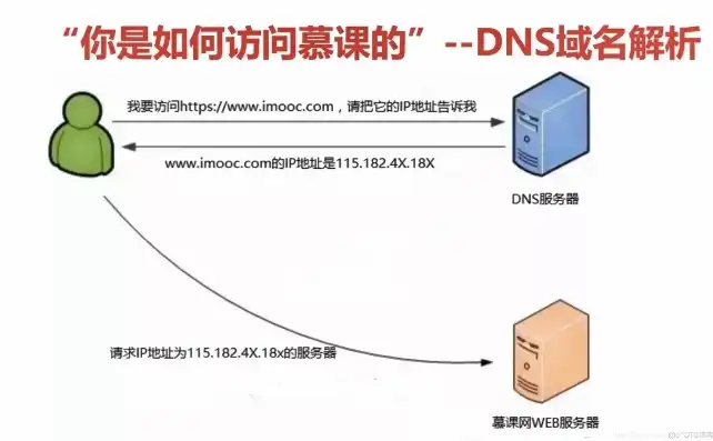 揭秘域名背后的神秘力量，揭秘不同服务器类型及其应用场景，域名有什么服务器类型