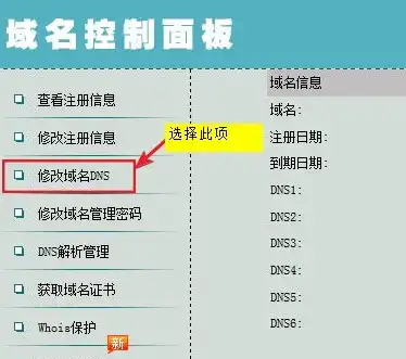 详解域名配置至服务器的步骤与技巧，怎么配置域名到服务器上