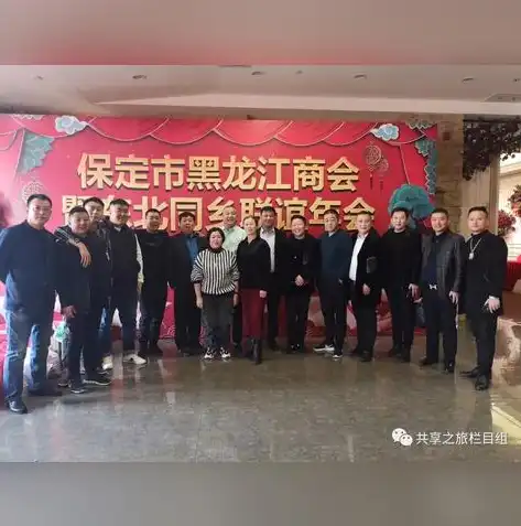 保定地区网站推广策略全解析，打造企业线上新格局，保定网站推广公司