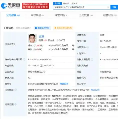 揭秘文化公司网站源码，设计理念、技术实现与用户体验全解析，文化公司网站源码是什么