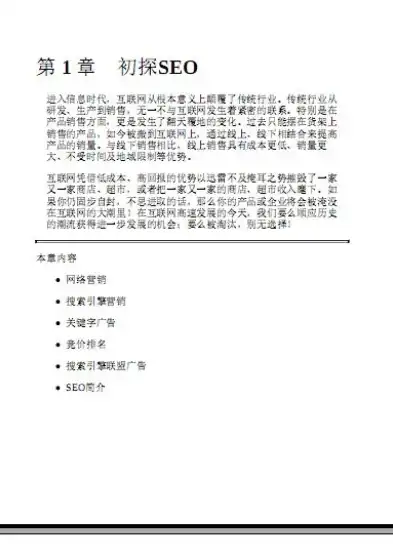 深入解析SEO实战密码，揭秘高效搜索引擎优化策略，seo实战密码pdf下载