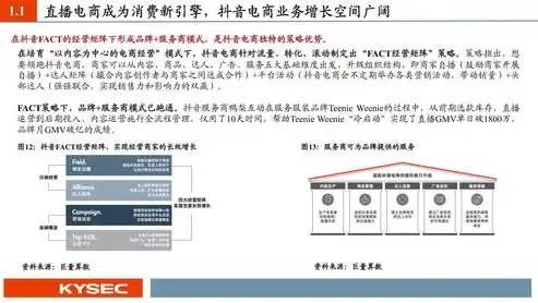 深入解析虚拟化平台，功能、应用与未来趋势，虚拟化平台是什么品目