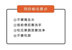 揭秘找他做寄生虫关键词排名的秘密，如何高效提升网站流量与知名度，寄生虫关键词排名接单代做