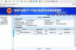 深入了解ICP备案网站，合规运营的必经之路，icp备案网站名称