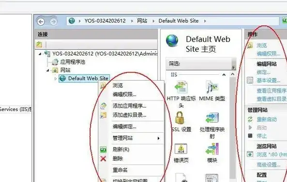 IIS服务器上MySQL安装与配置全攻略，服务器安装iis要联网吗