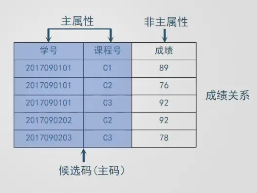 深入解析关系模型，二维表的数据结构及其应用，关系模型的数据结构是二维表吗