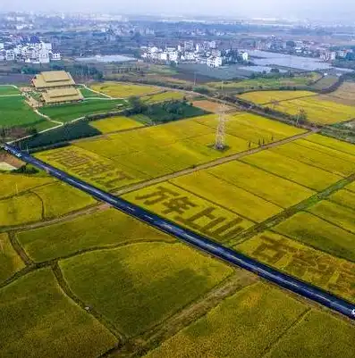 打造个性化学习平台，开启教育新篇章，网站创建快捷方式