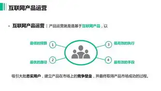 网站运营成本解析，全面了解网站运营的隐形支出，网站运营成本包括哪些