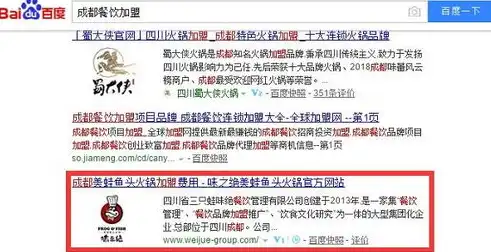 SEO白帽之道，探索绿色优化策略，提升网站排名与用户体验，seo白帽是什么意思