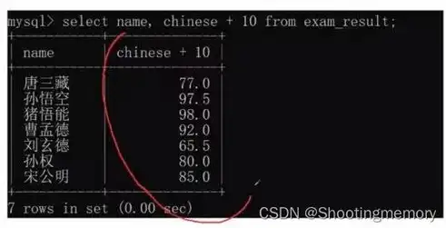 深入解析PHP与MySQL服务器的协同工作原理及优化策略，php连接mysql服务器