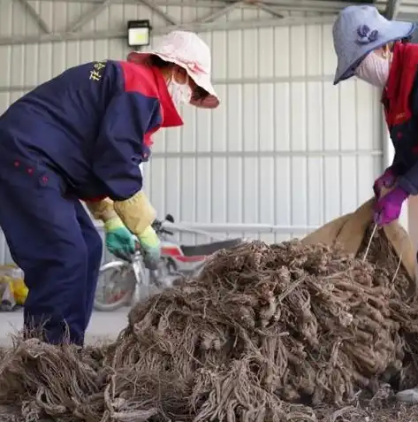 福建省科技特派员服务云平台管理系统，智慧赋能，助力科技创新发展，福建省科技特派员服务云平台管理系统官方网站