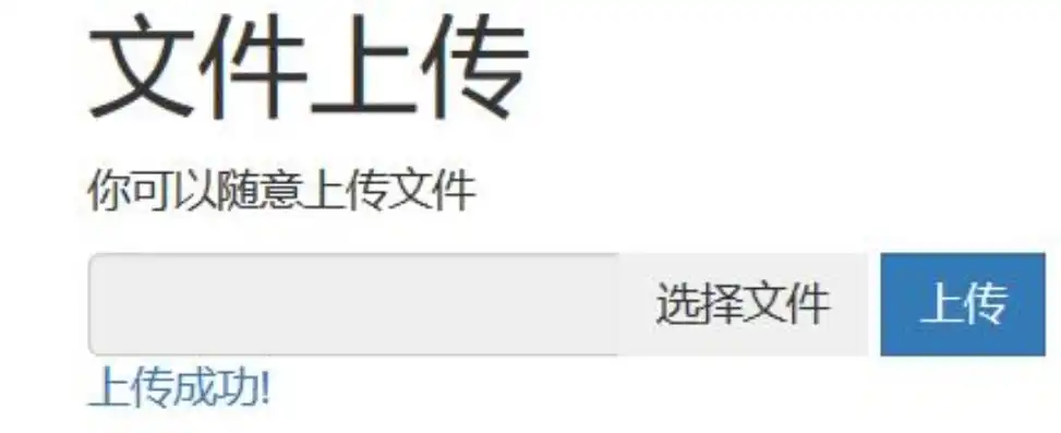 轻松掌握网站源码上传技巧，让你的网站焕然一新！，网站源码上传到哪个文件夹