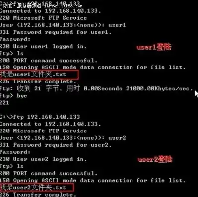 深入解析Windows Server 2003 FTP服务器搭建与配置技巧，linux配置FTP服务器