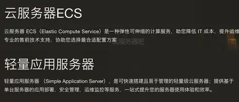 深入解析网站服务器ECS，性能、优势与实际应用案例，网站服务器租赁
