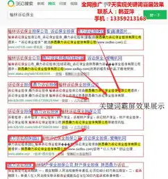 全方位解析，网站关键词排名优化推广软件，助力企业抢占互联网制高点，网站关键词优化推广哪家好