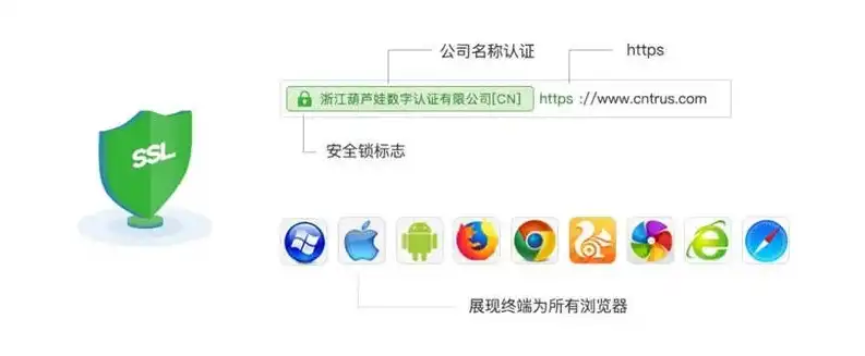 揭秘网站认证，权威保障，安全无忧的上网之旅，网站认证怎么认证