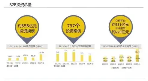 深度解析B2B行业网站源码，构建高效电商平台的秘籍，b2b行业网站源码是多少