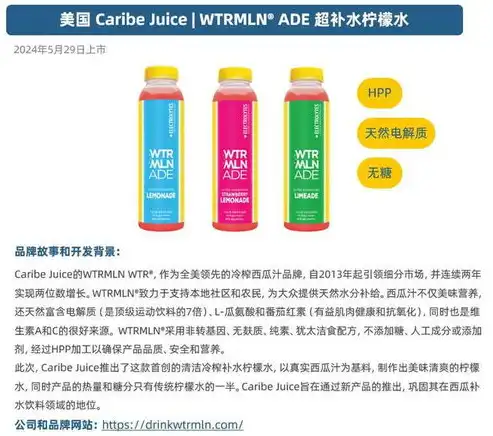 揭秘食品饮料网站源码，探索数字营销背后的秘密，食品饮料网站源码查询