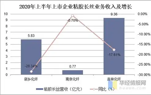 揭秘电信单线服务器，技术优势与市场前景分析，电信单线服务器是什么