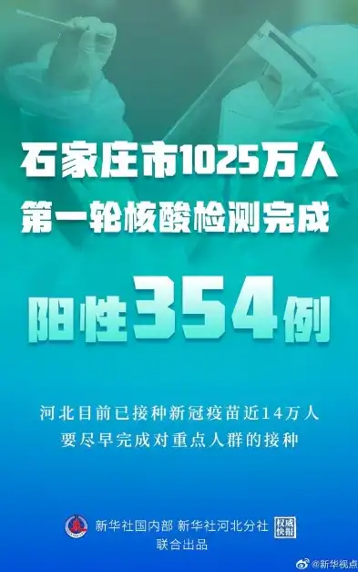 揭秘石家庄8号服务器名称背后的故事及命名技巧，石家庄8号疫情最新消息