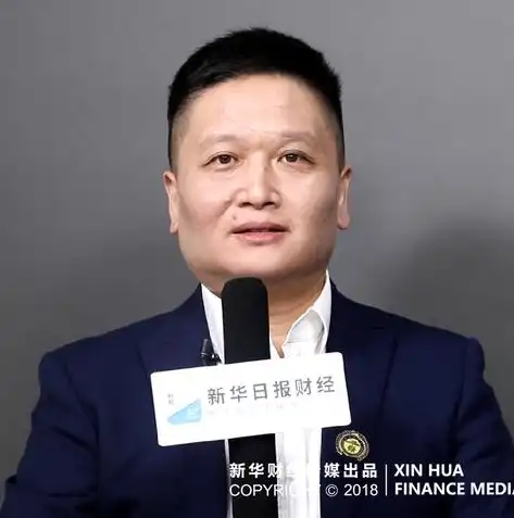 揭秘成功企业家的关键词案例，创新思维与战略布局，关键词策略案例