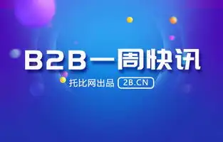 免费获取B2B网站源码，助您轻松搭建高效电商平台，b2b平台源码