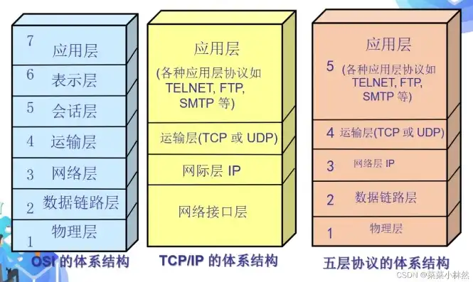 计算机网络结构全景解析，从局域网到互联网的层层架构，计算机网络结构有哪些类型