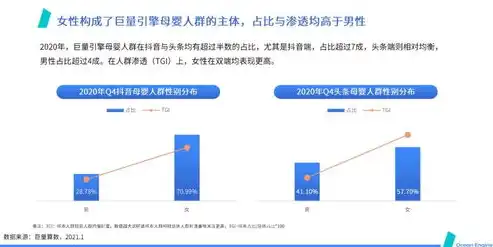 儋州SEO公司助力企业提升网络曝光度，抢占市场先机