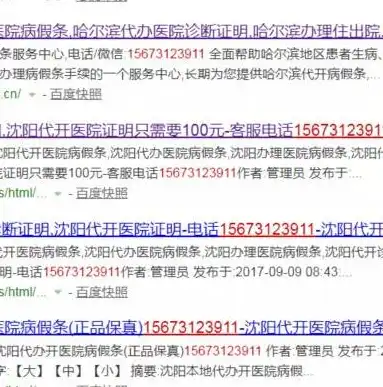 深度解析，百度快照关键词优化策略及实战技巧，百度快照关键词排名技术