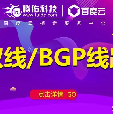 深入解析BGP服务器防御策略，构建网络安全防线，bgp服务器什么意思