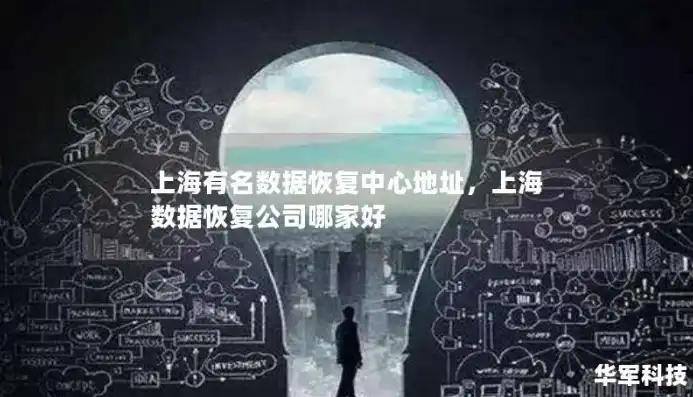 探秘东方明珠，上海服务器的魅力与价值，服务器 上海数据恢复中心 排名