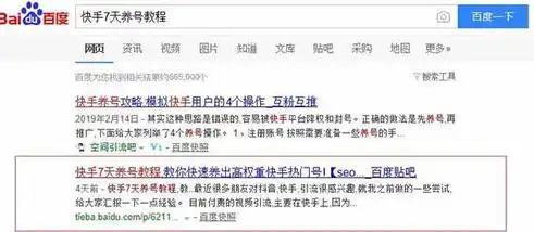 SEO排名百度攻略，全面解析提升网站百度排名的秘诀，seo排名工具给您好的建议下载官网