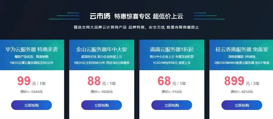 性价比之王揭秘低价国内云服务器租用攻略，告别高昂费用，畅享云端无忧体验！，云服务器租用价格多少钱